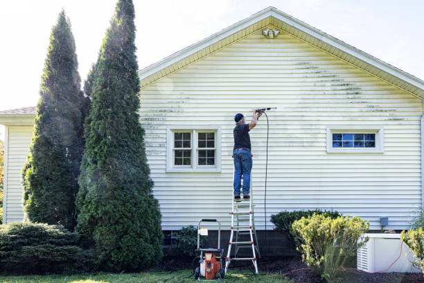 Best Pressure Washing Driveway  in Preston Heights, IL